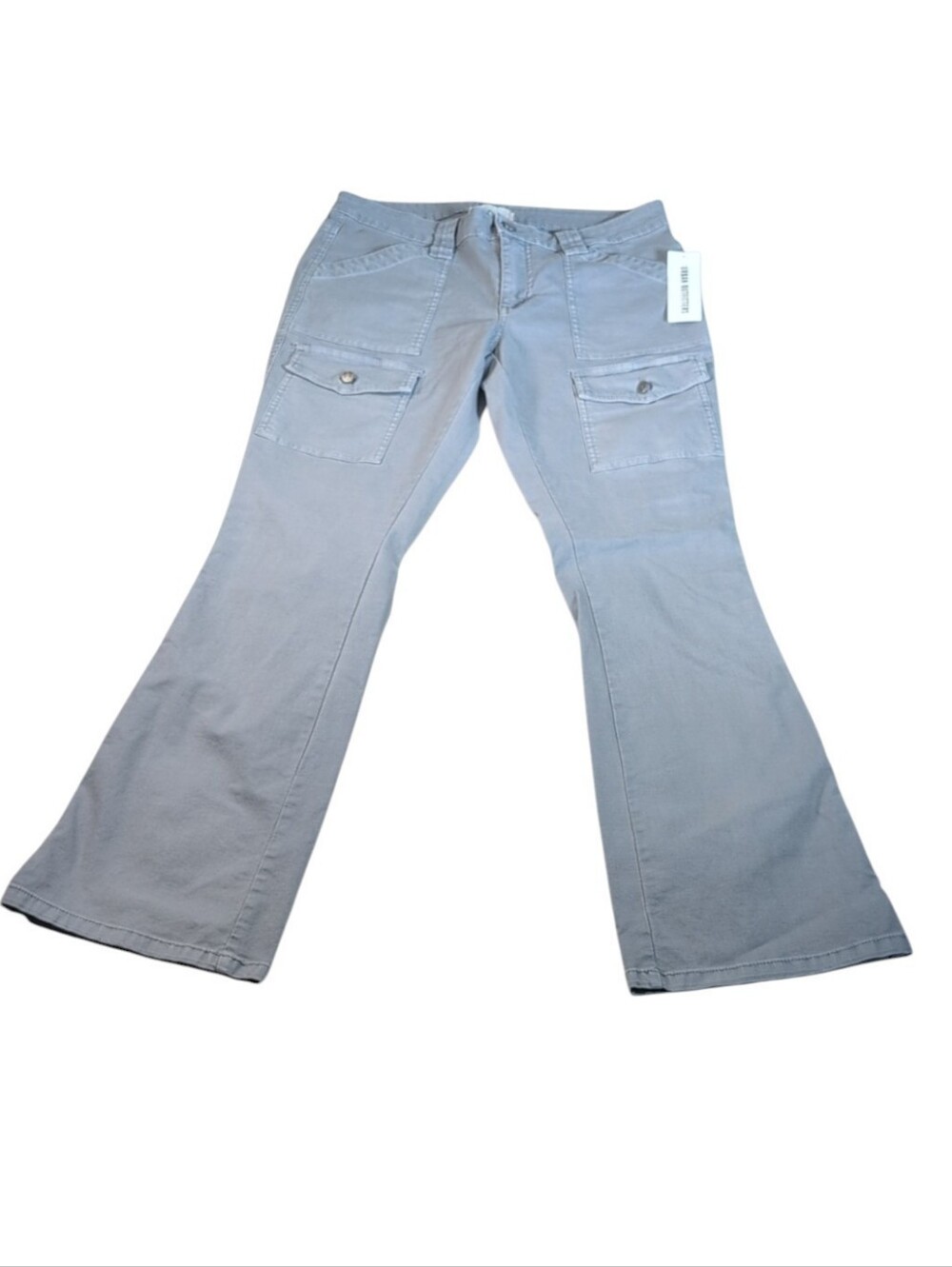 BDG Urban Outfitters Gray Boot Cut Utility Cargo Pants Size 29